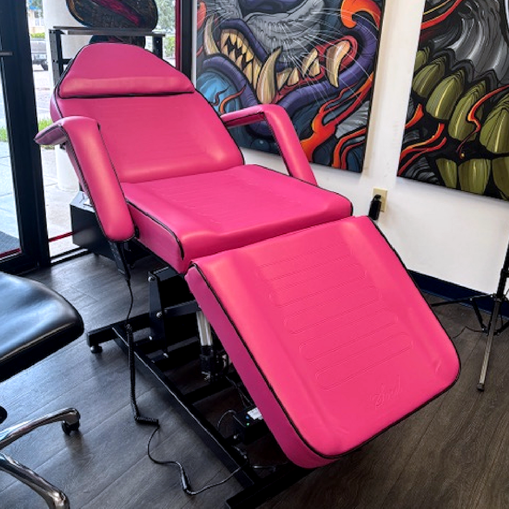 Limited Edition Electric Pro Ultra Fully Electronic Client Bed Chair ...