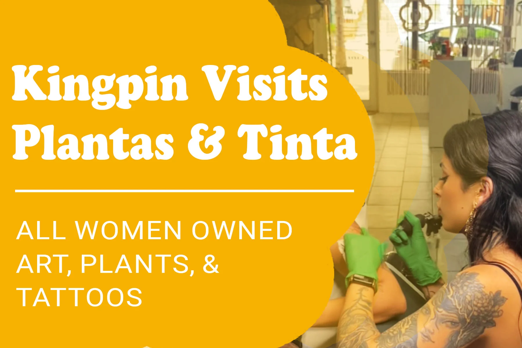 Plantas & Tintas | #kingpinvisits