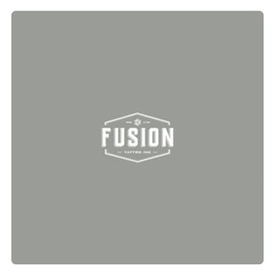 Fusion Ink - Opaque Gray - Light