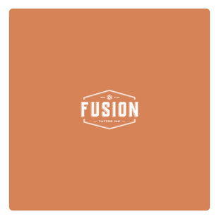Fusion Ink - Flesh Tone Light