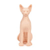 Pound of Flesh Sphynx Cat