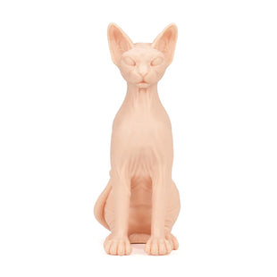 Pound of Flesh Sphynx Cat