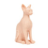 Pound of Flesh Sphynx Cat