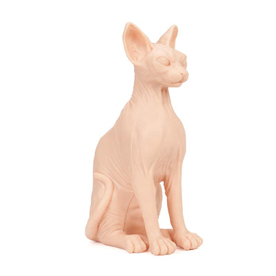 Pound of Flesh Sphynx Cat