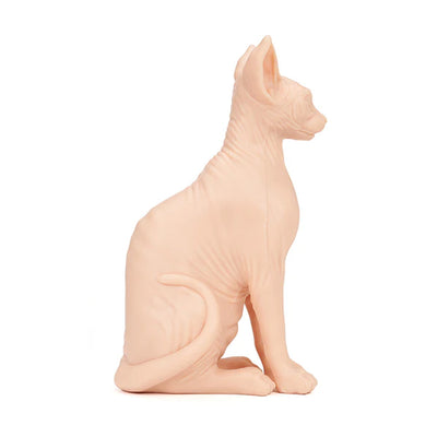Pound of Flesh Sphynx Cat