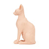 Pound of Flesh Sphynx Cat
