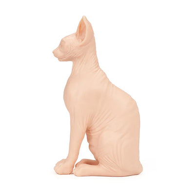 Pound of Flesh Sphynx Cat