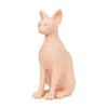 Pound of Flesh Sphynx Cat