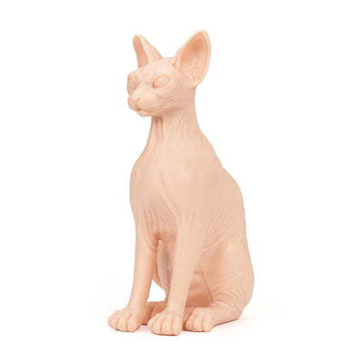 Pound of Flesh Sphynx Cat